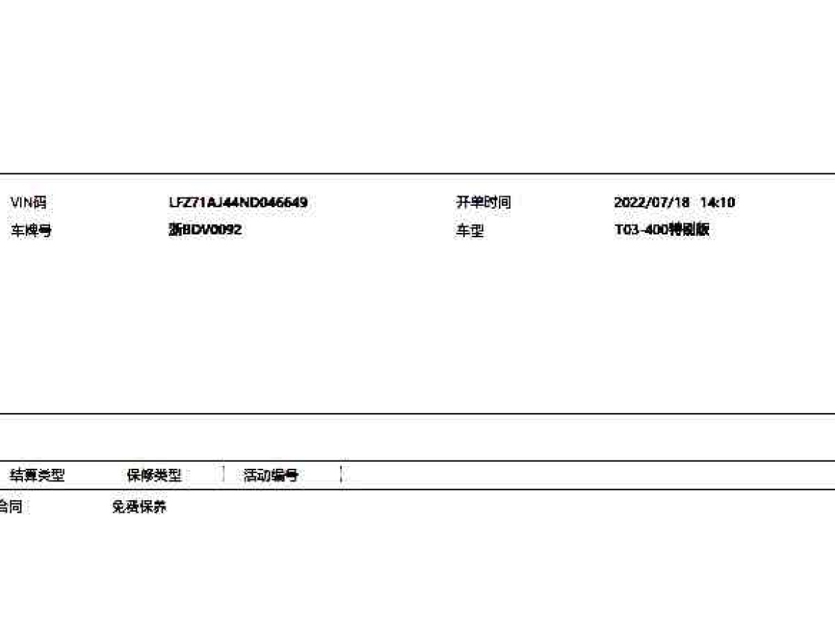 零跑 零跑T03  2022款 特別版圖片