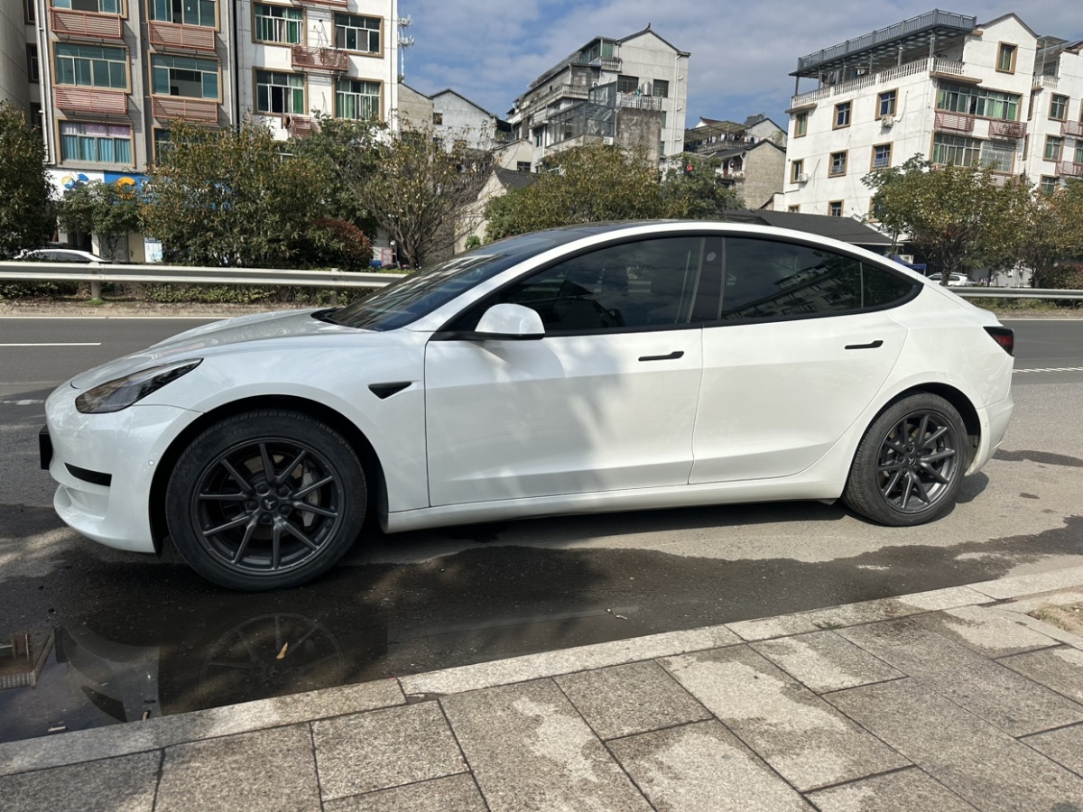 特斯拉 Model 3  2019款 標準續(xù)航后驅(qū)升級版圖片