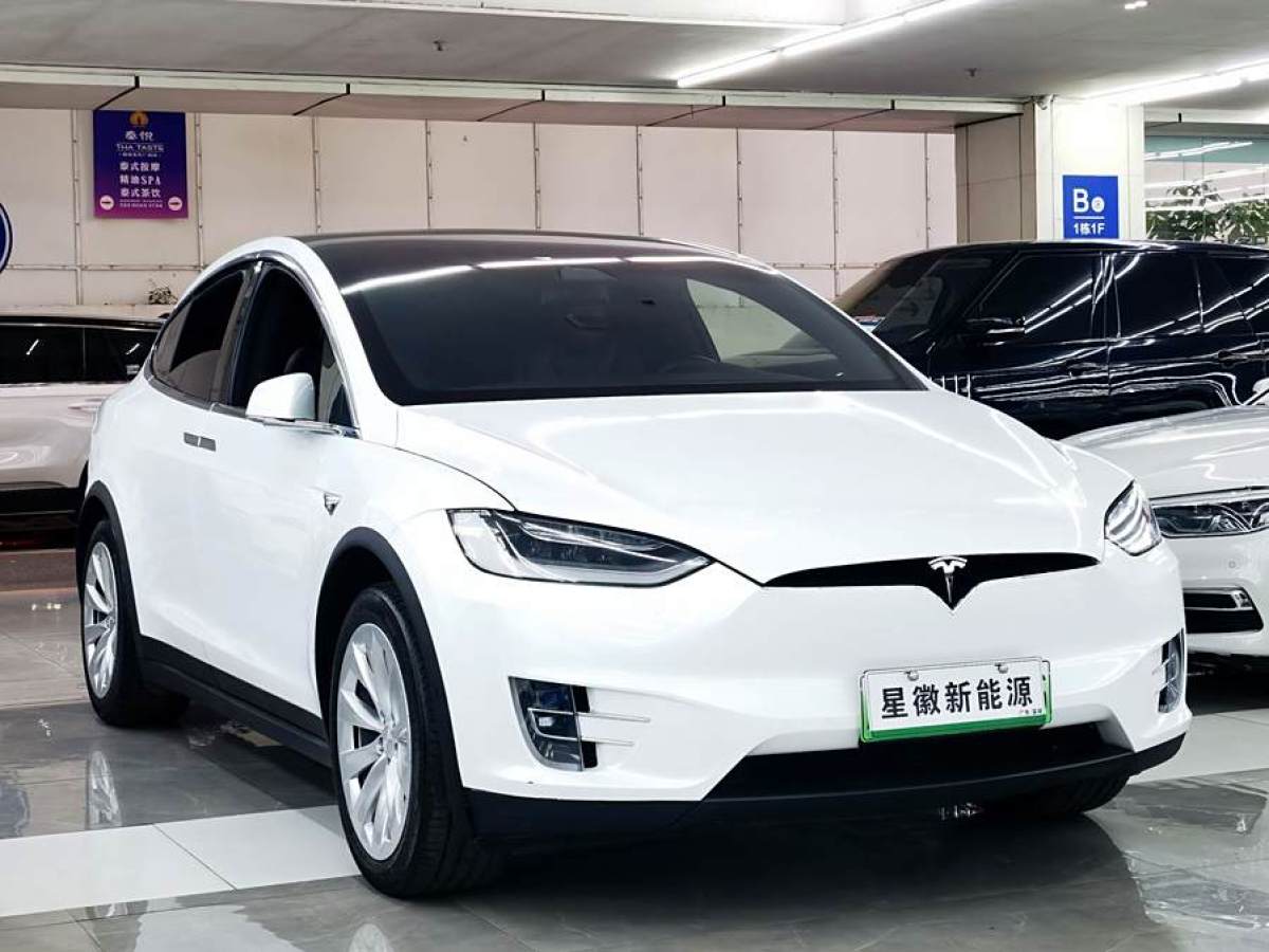 特斯拉 Model X  2020款 長(zhǎng)續(xù)航升級(jí)版圖片