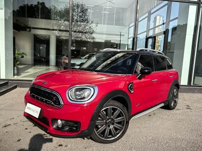 2019年7月 MINI COUNTRYMAN 2.0T COOPER S ALL4 藝術(shù)家圖片