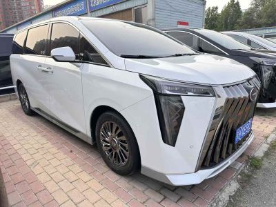 2023年7月 電動屋 YOUNG光小新 302KM 原味版圖片