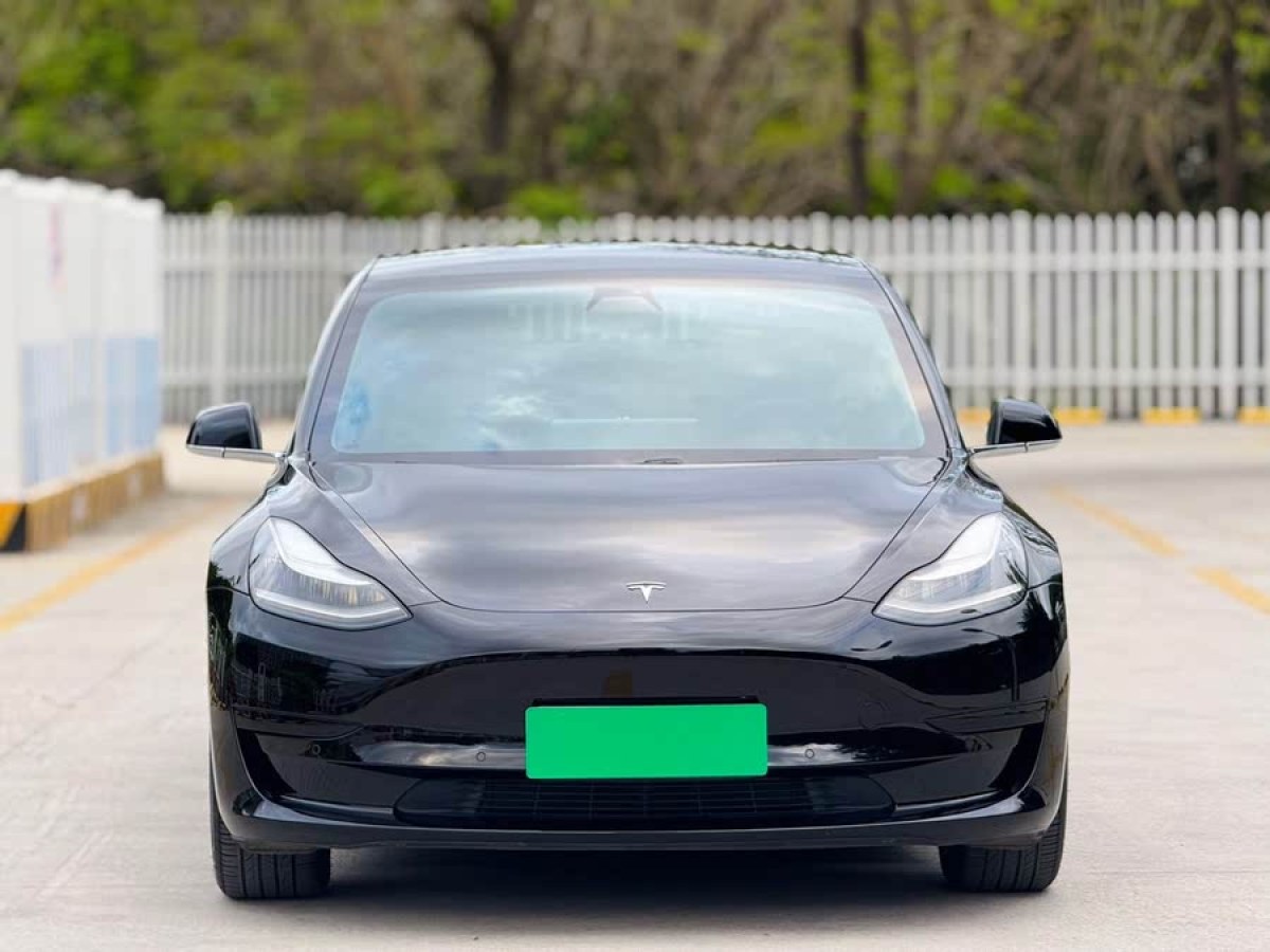 特斯拉 Model 3  2019款 標(biāo)準(zhǔn)續(xù)航后驅(qū)升級版圖片