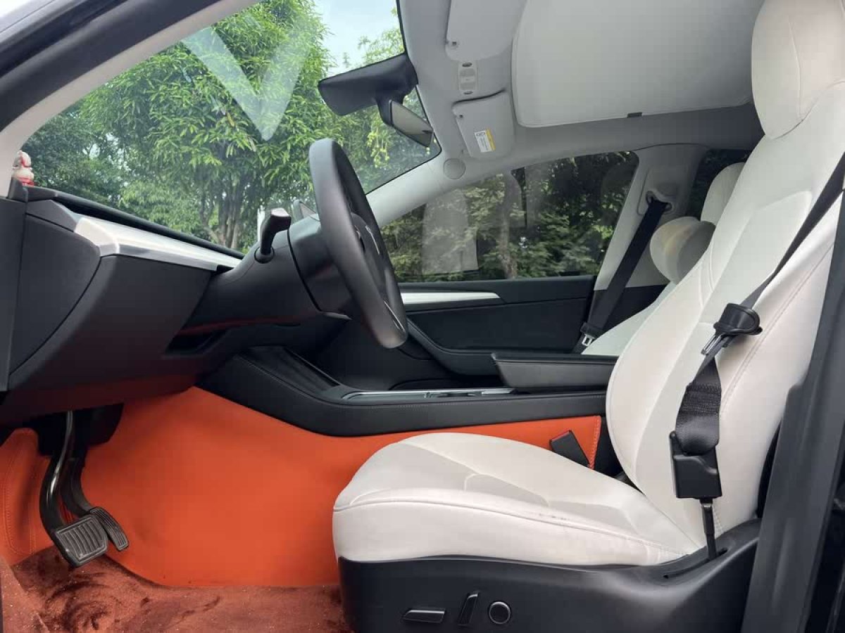 特斯拉 Model Y  2021款 標準續(xù)航后驅版圖片