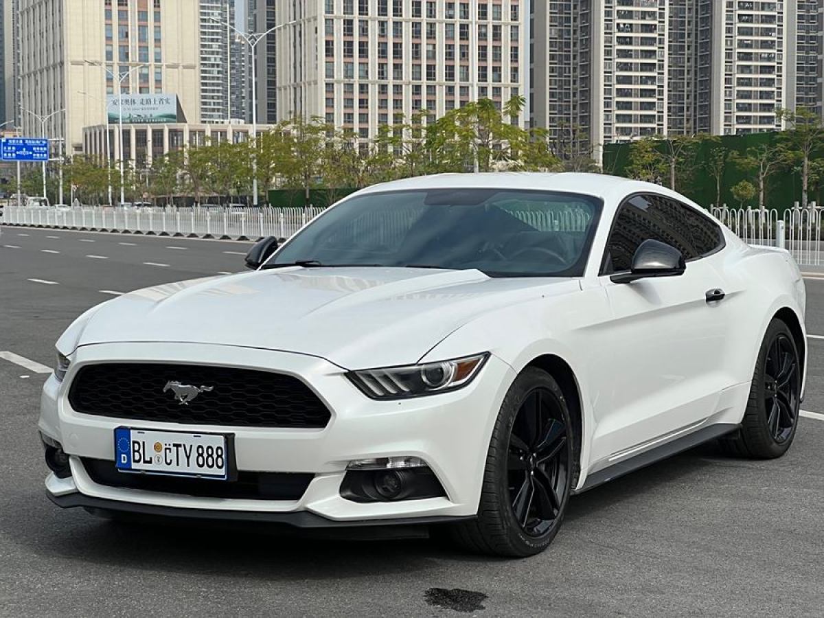 福特 Mustang  2015款 2.3T 性能版圖片