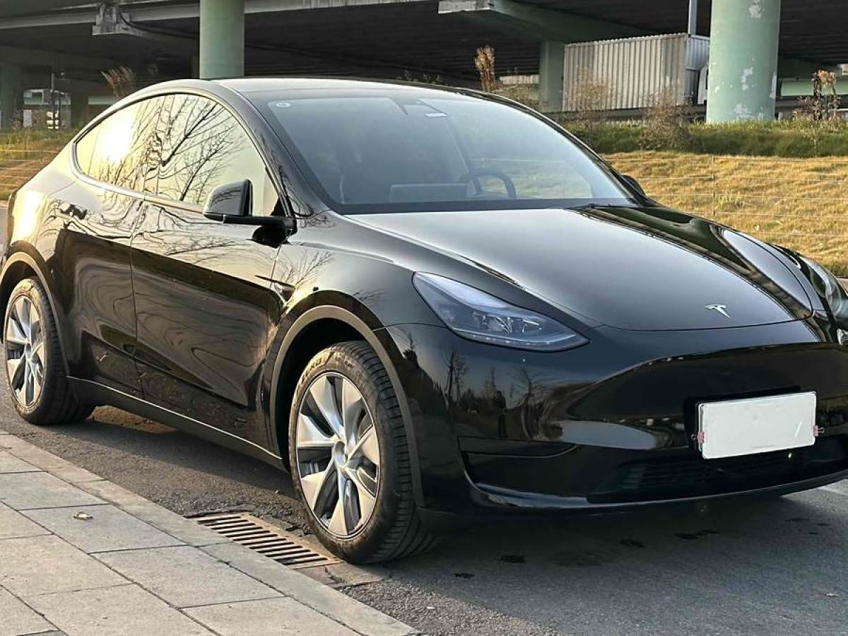 特斯拉 Model 3  2020款 改款 長(zhǎng)續(xù)航后輪驅(qū)動(dòng)版圖片