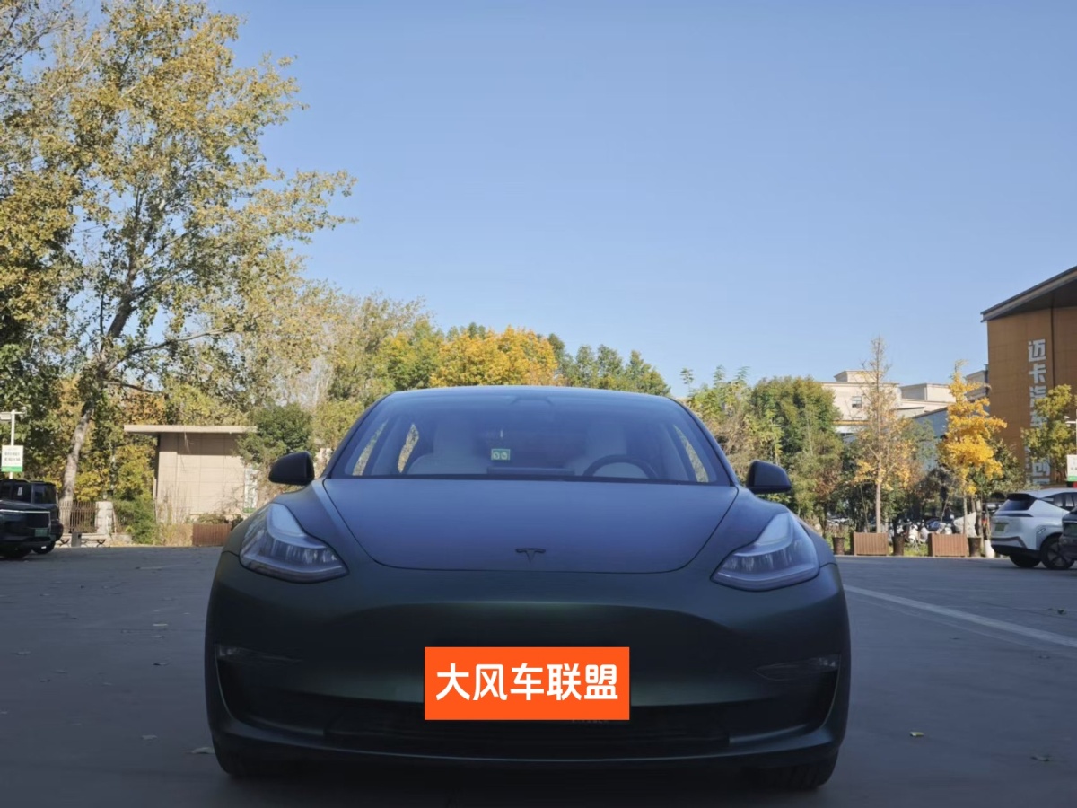 特斯拉 Model 3  2020款 改款 長續(xù)航后輪驅(qū)動(dòng)版圖片