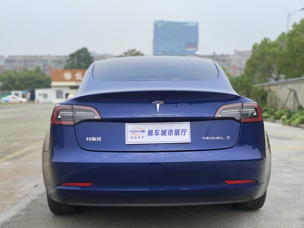 2020年6月特斯拉 Model 3  2019款 標準續(xù)航后驅升級版