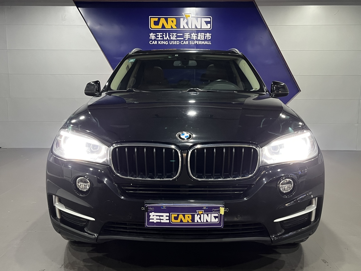 寶馬 寶馬X5  2014款 xDrive35i 領(lǐng)先型圖片