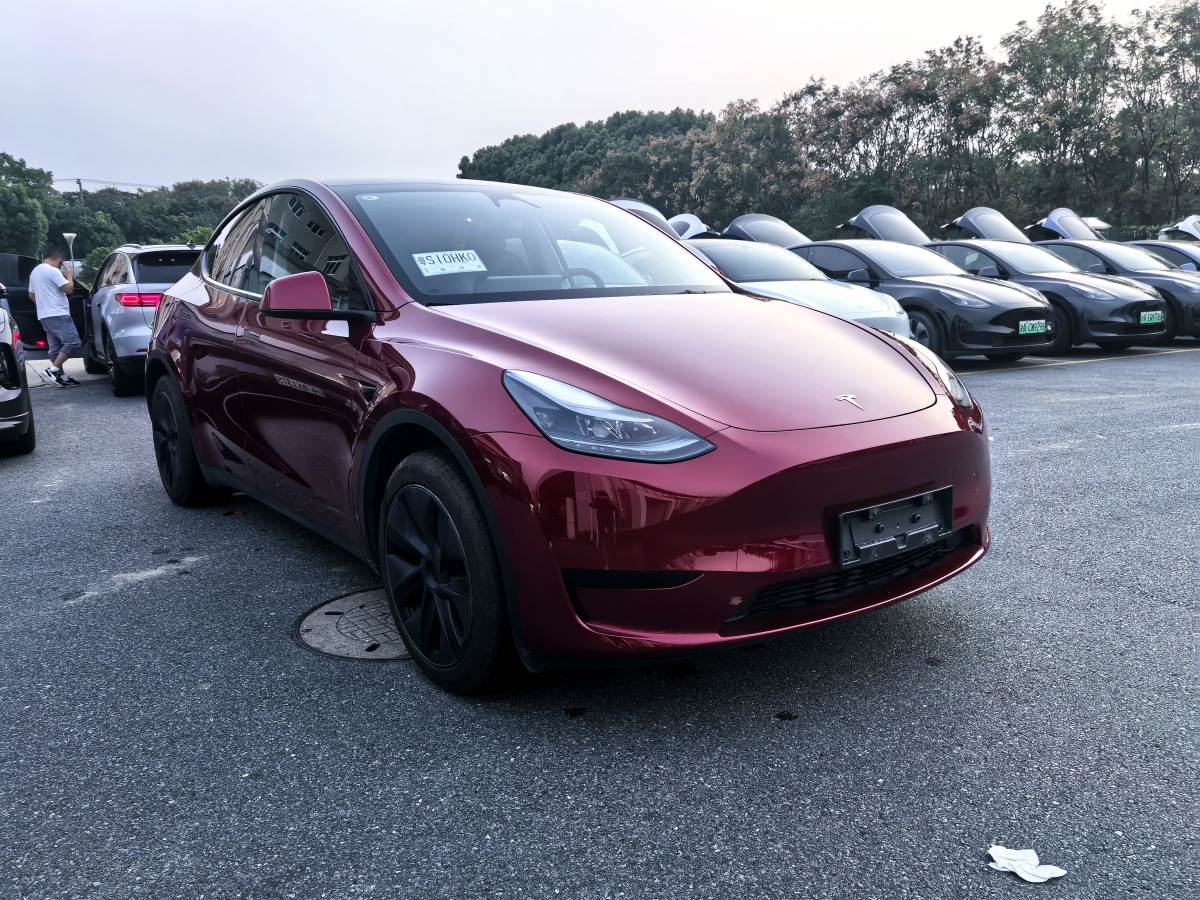 2024年3月特斯拉 Model Y  2020款 改款 長續(xù)航后輪驅動版