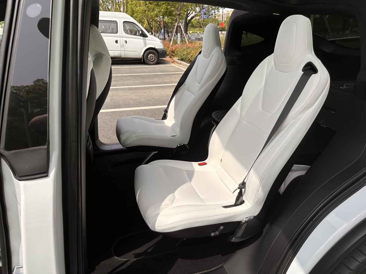 特斯拉 Model X  2020款 Performance 高性能版圖片