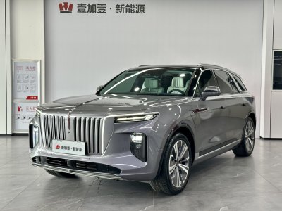 2021年4月 红旗 红旗E-HS9 660km 旗畅版 六座图片