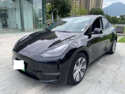 2021年6月 特斯拉 Model Y 改款 標(biāo)準(zhǔn)續(xù)航后驅(qū)升級(jí)版圖片