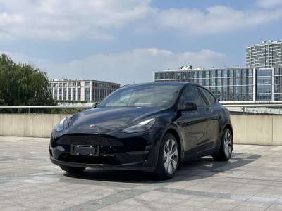 2021年6月 特斯拉 Model Y 改款 标准续航后驱升级版图片