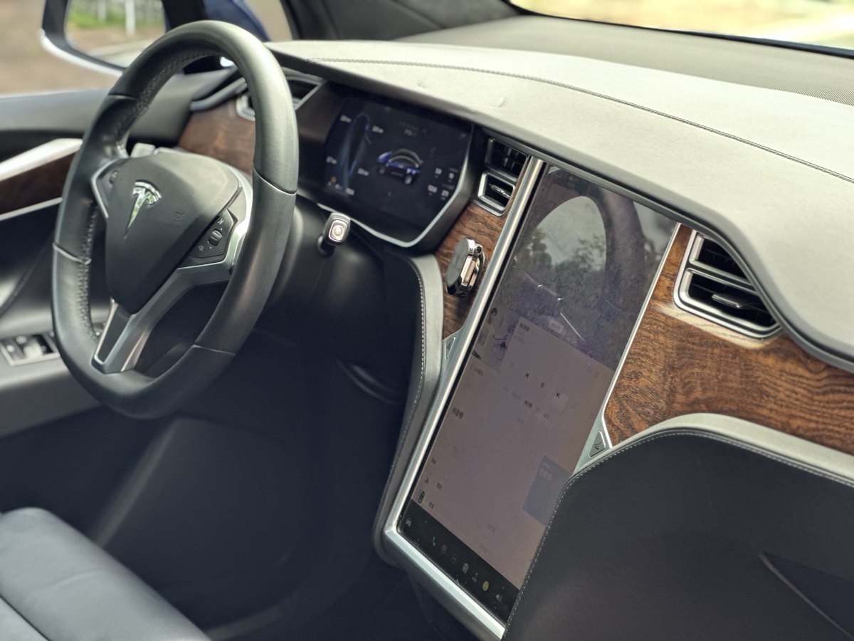 特斯拉 Model X  2016款 Model X 75D圖片