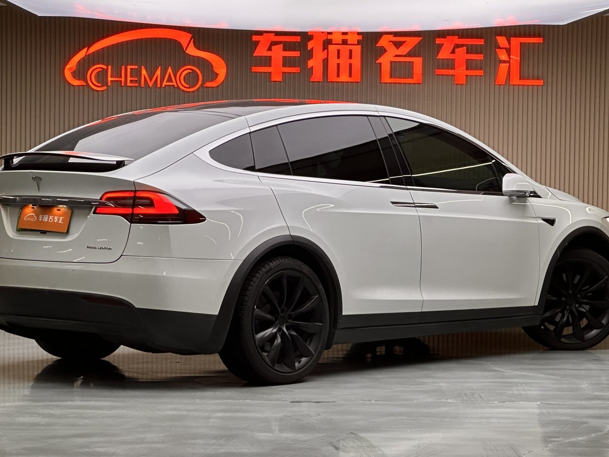 特斯拉 Model X  2019款 長續(xù)航版圖片