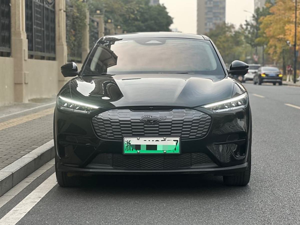 2023年1月福特 Mustang Mach-E  2021款 標(biāo)準(zhǔn)續(xù)航后驅(qū)版