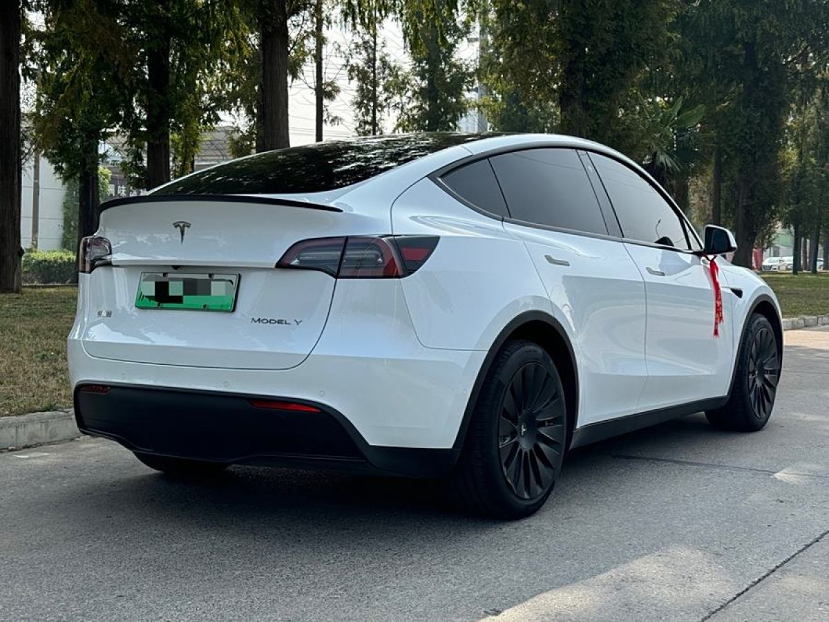 特斯拉 Model Y  2022款 后輪驅(qū)動(dòng)版圖片