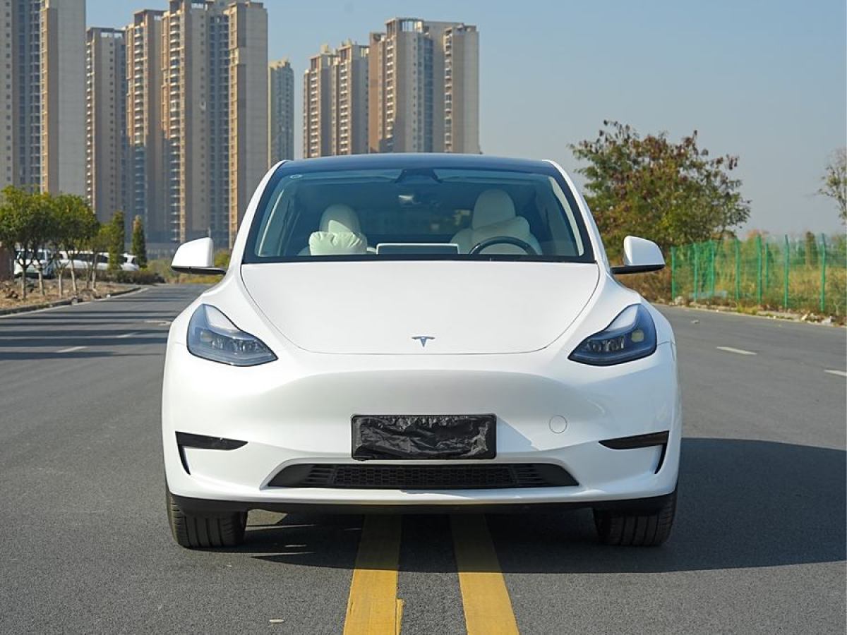 特斯拉 Model 3  2020款 改款 長(zhǎng)續(xù)航后輪驅(qū)動(dòng)版圖片