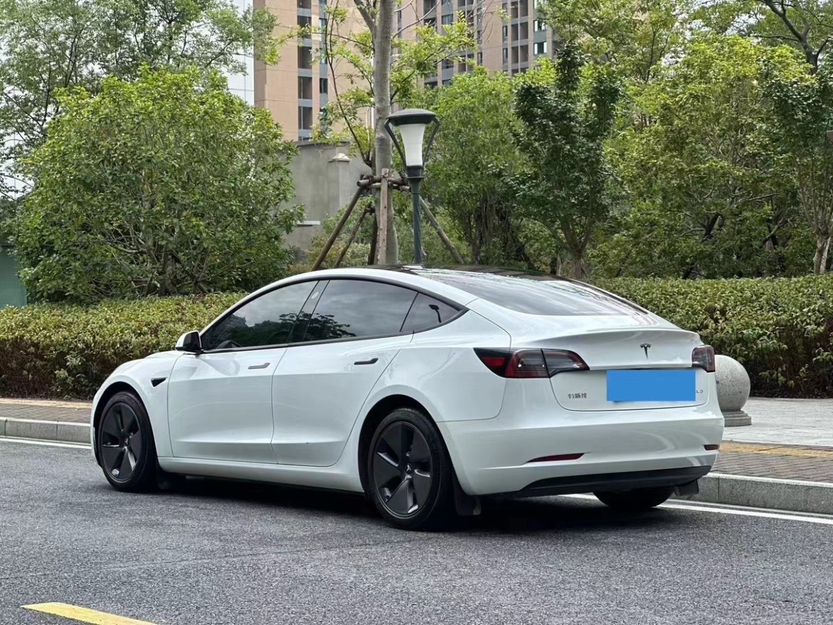 特斯拉 Model 3  2021款 標(biāo)準(zhǔn)續(xù)航后驅(qū)升級(jí)版圖片