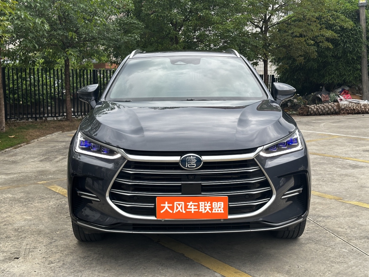 比亞迪 唐新能源  2021款 DM-i 112KM 尊榮型圖片