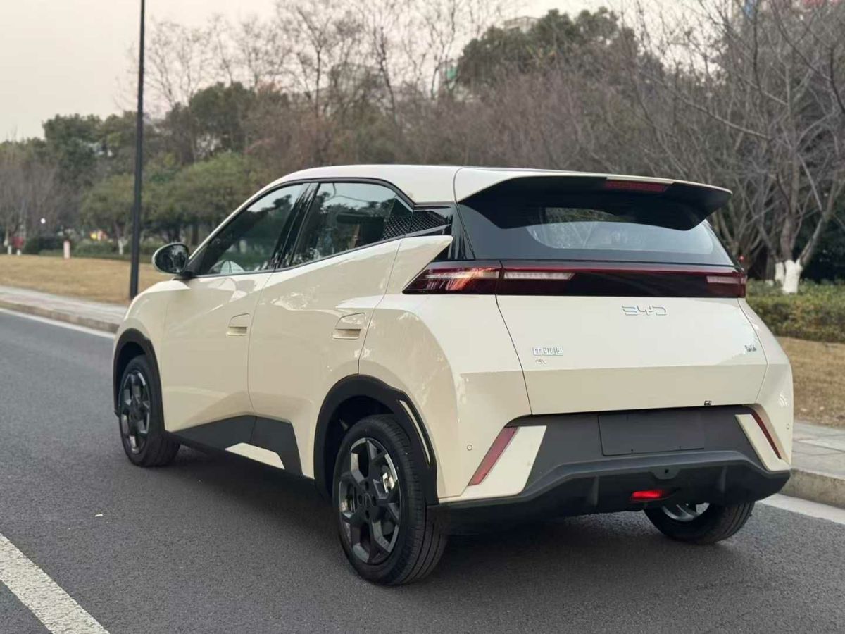 比亞迪 宋L DM-i  2024款 112km 超越型圖片