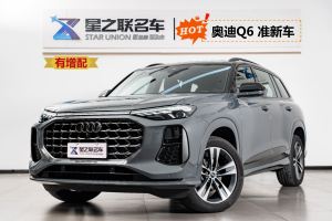 2024年1月 奧迪Q6 奧迪 45 TFSI quattro 齊云型 飛騎套裝 7座