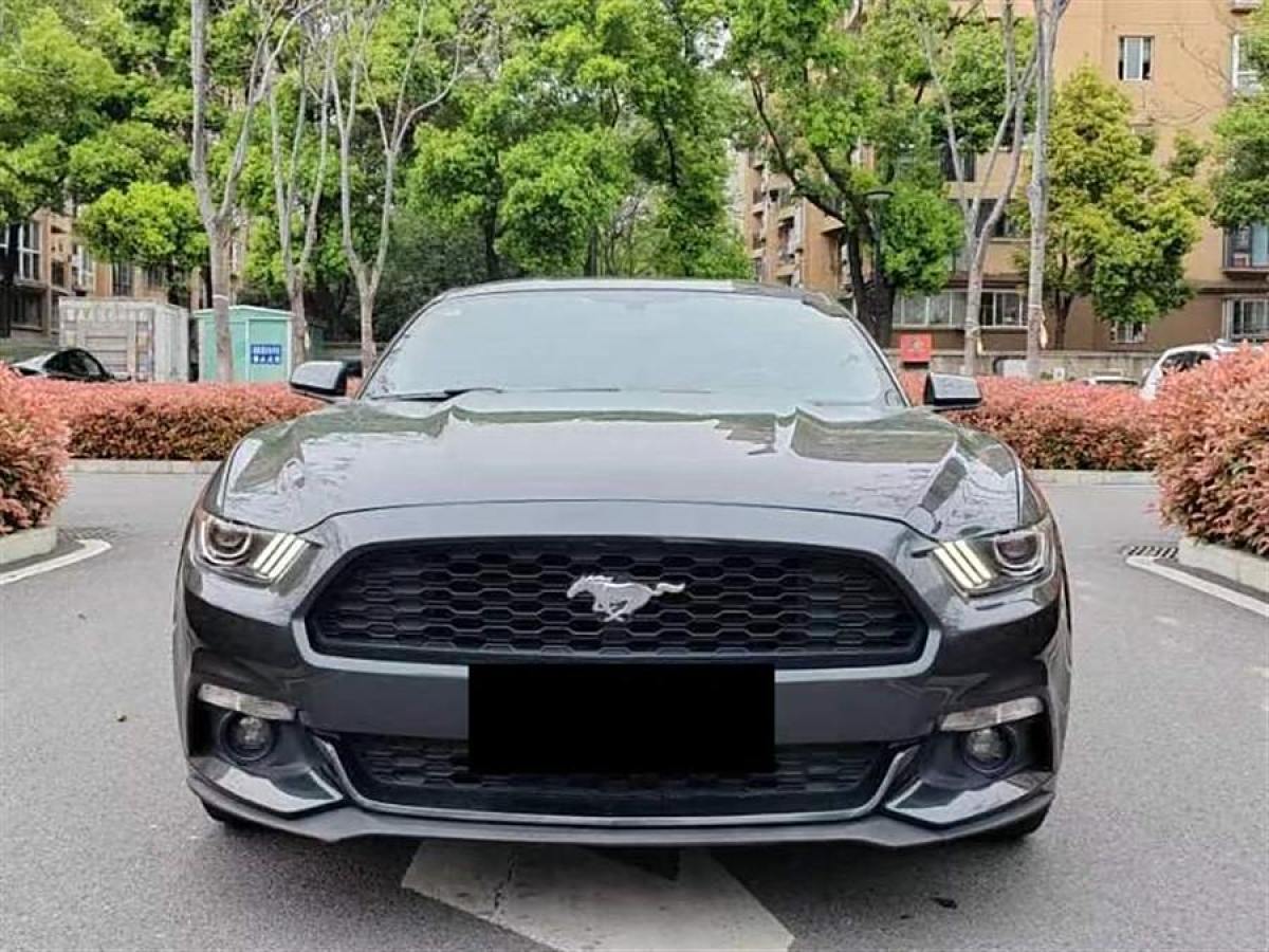 福特 Mustang  2015款 2.3T 性能版圖片