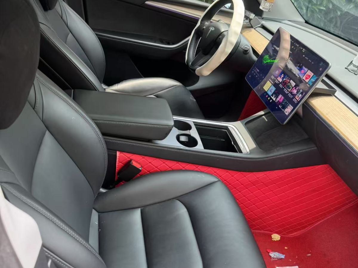 特斯拉 Model Y  2021款 標(biāo)準(zhǔn)續(xù)航后驅(qū)版圖片