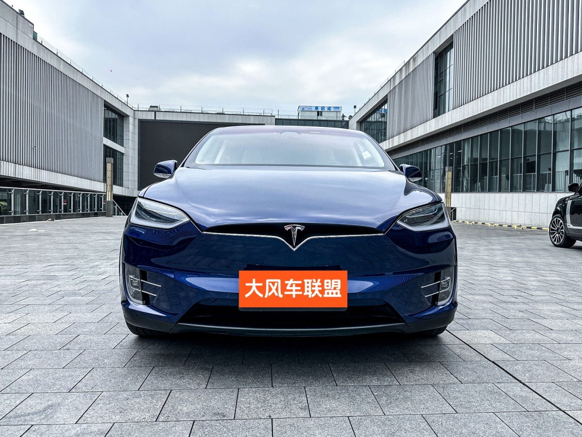 特斯拉 Model X  2017款 Model X 100D 長續(xù)航版圖片