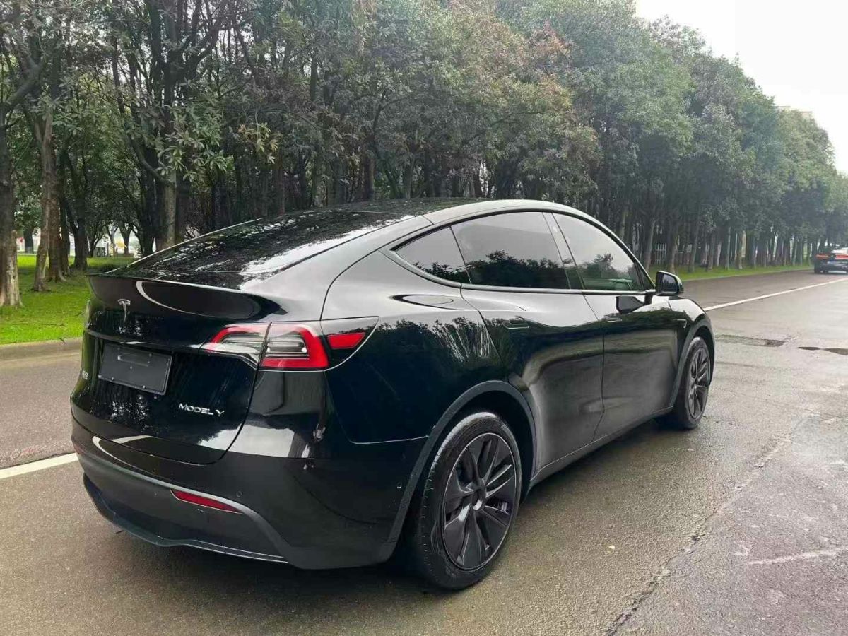 特斯拉 Model S  2023款 三電機全輪驅(qū)動 Plaid版圖片