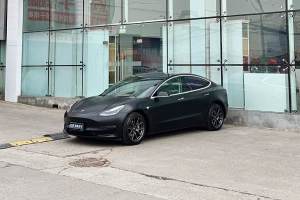 Model 3 特斯拉 改款 標(biāo)準(zhǔn)續(xù)航后驅(qū)升級(jí)版