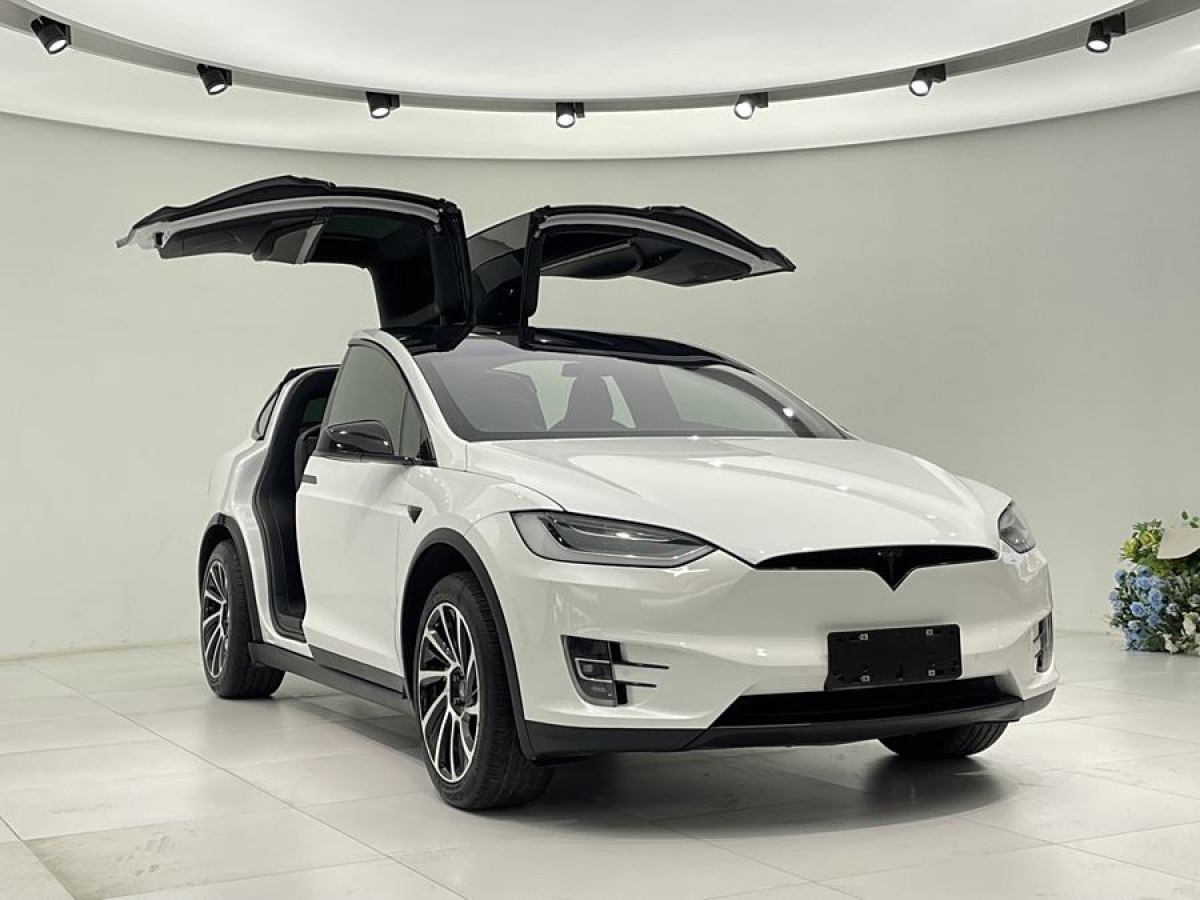 特斯拉 Model X  2019款 長(zhǎng)續(xù)航版圖片