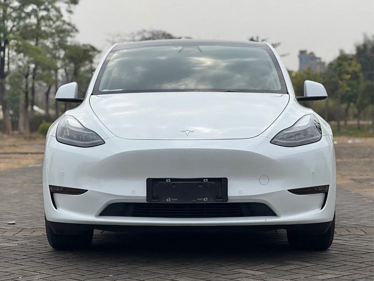 特斯拉 Model 3  2021款 改款 標(biāo)準(zhǔn)續(xù)航后驅(qū)升級(jí)版圖片