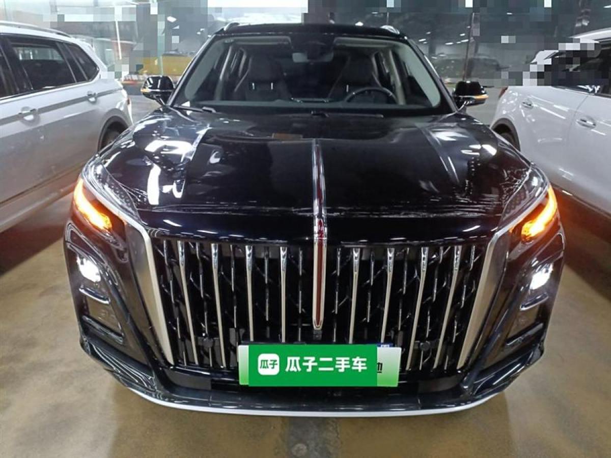 2025年2月紅旗 紅旗HS3 PHEV  2024款 PHEV 115km 勁為版