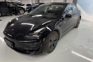 Model 3 特斯拉 标准续航后驱升级版