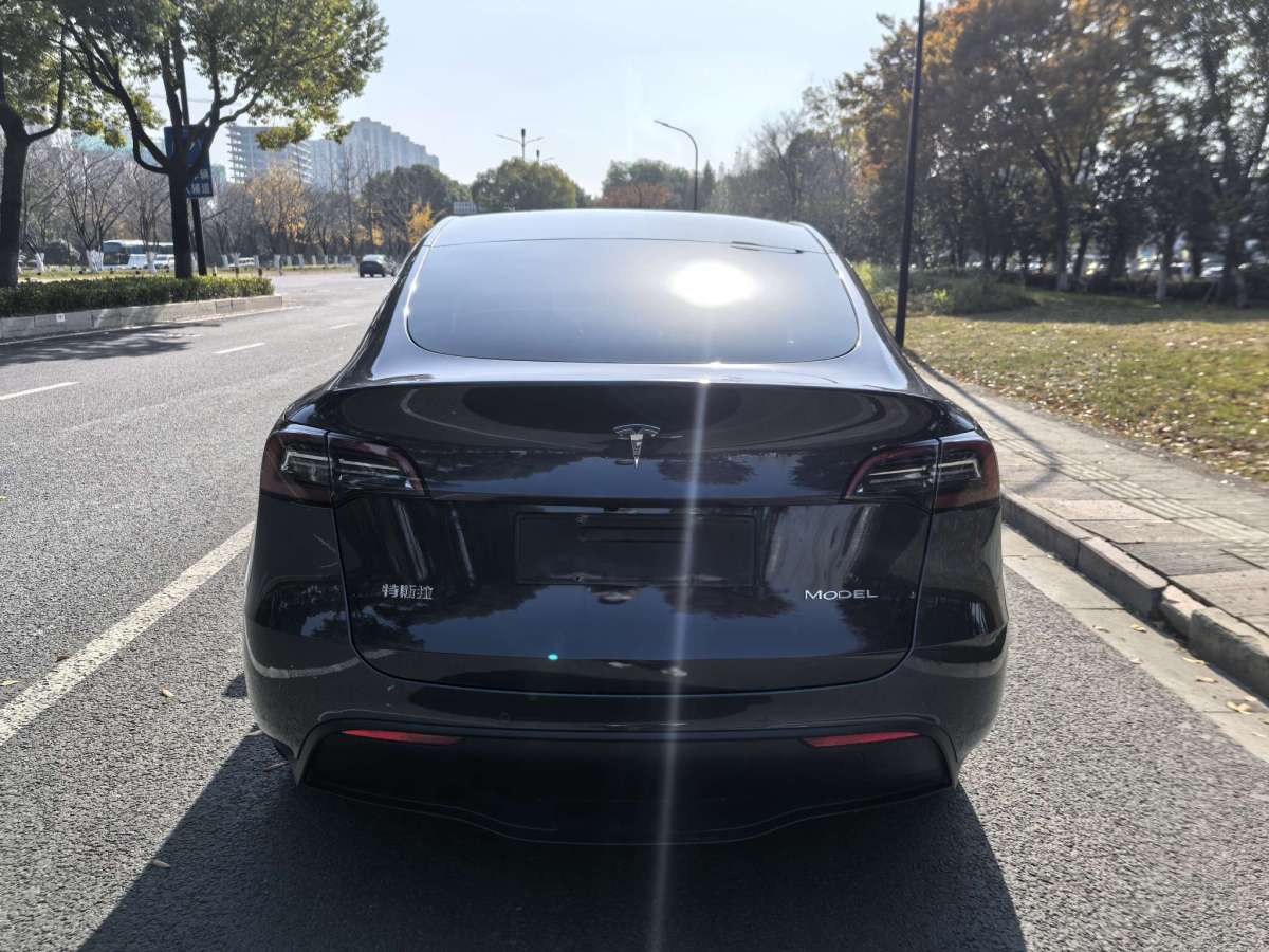 特斯拉 Model Y  2022款 后驅(qū)版圖片