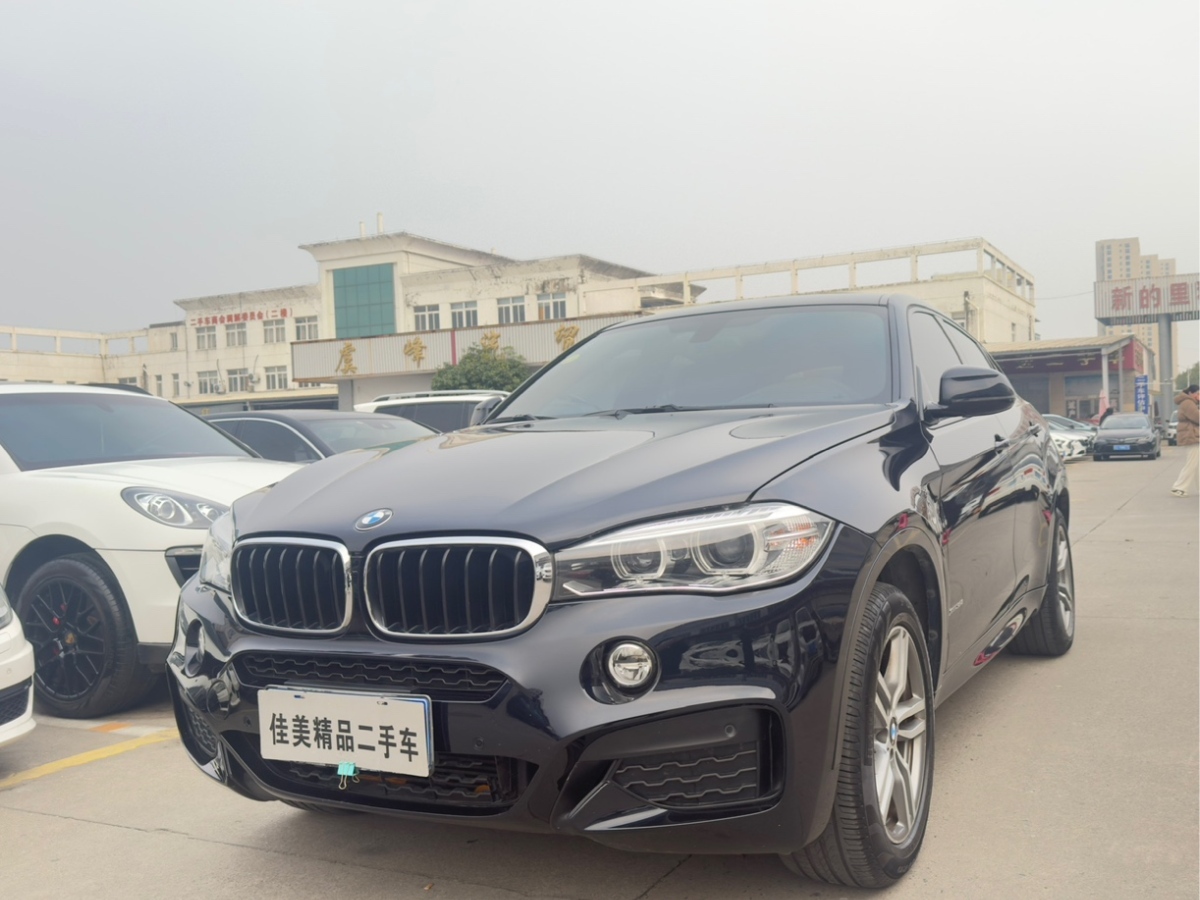 寶馬 寶馬X6  2015款 xDrive35i 領(lǐng)先型圖片