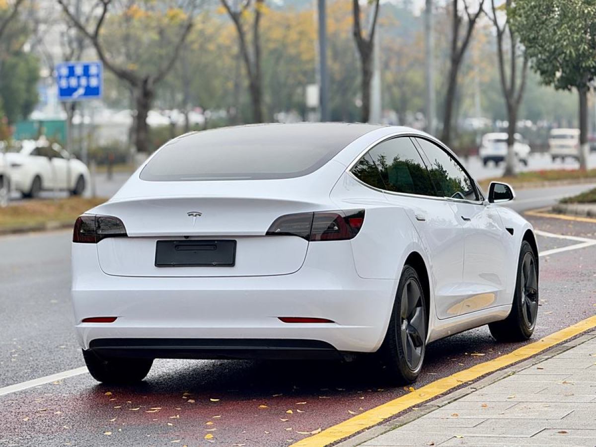 特斯拉 Model 3  2019款 長(zhǎng)續(xù)航后驅(qū)版圖片