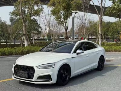 2017年1月 奧迪 奧迪A5(進口) Cabriolet 40 TFSI 時尚型圖片