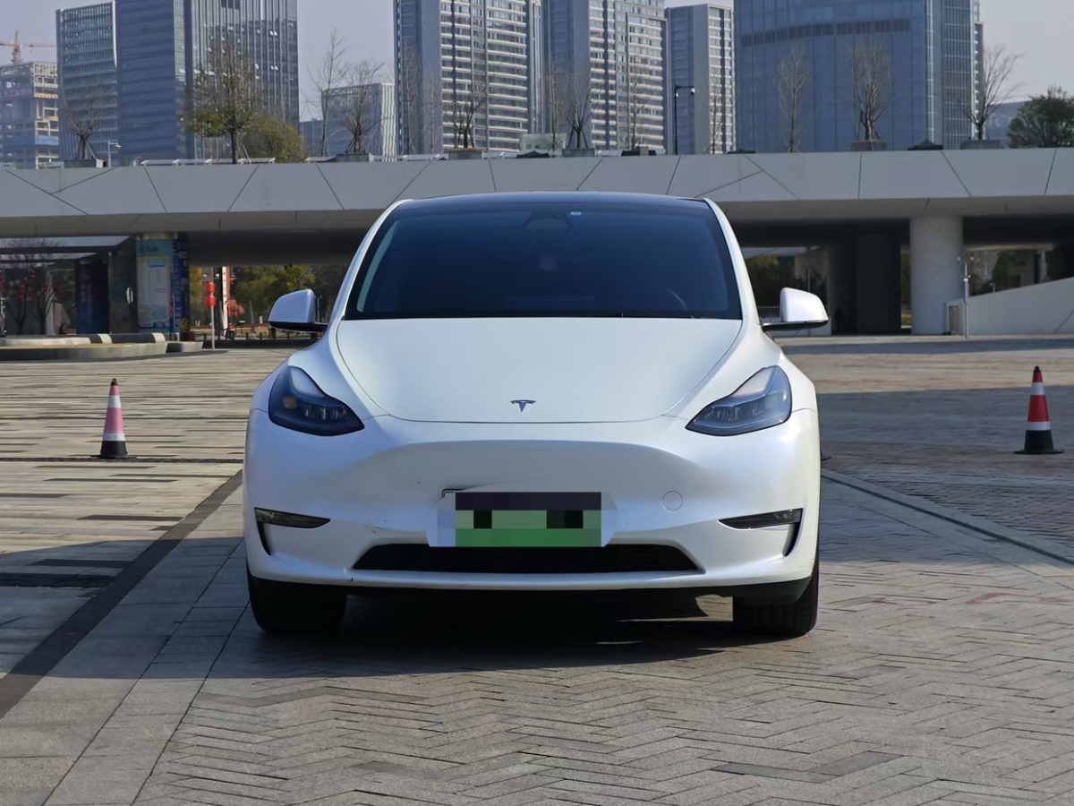 特斯拉 Model Y  2023款 長(zhǎng)續(xù)航全輪驅(qū)動(dòng)版圖片