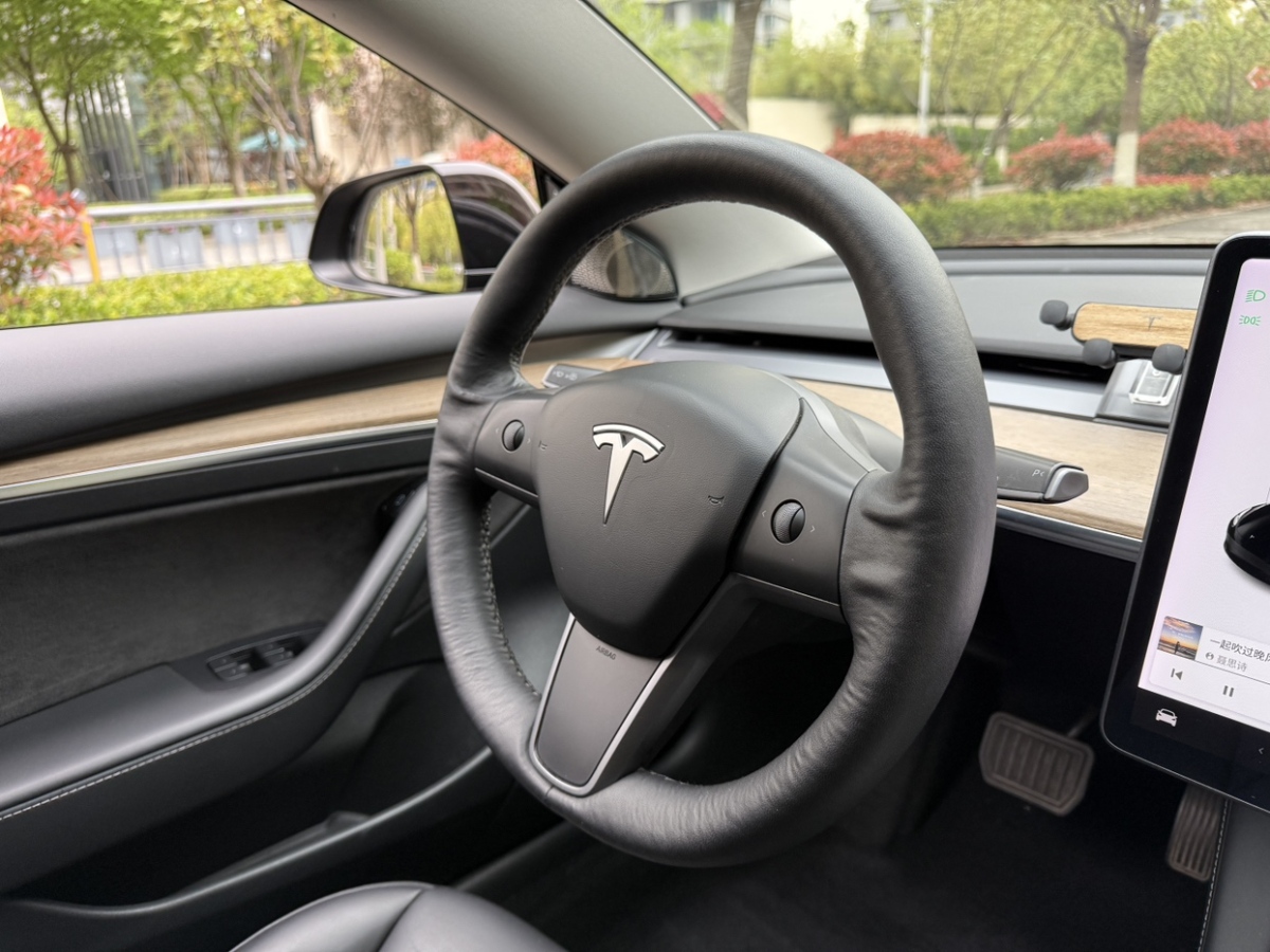 特斯拉 Model 3  2021款 標(biāo)準(zhǔn)續(xù)航后驅(qū)升級版 3D6圖片