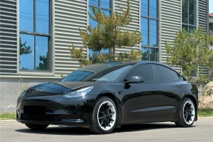 Model 3 特斯拉 改款 標(biāo)準(zhǔn)續(xù)航后驅(qū)升級版