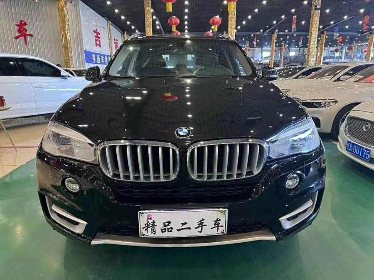 寶馬 寶馬X5  2014款 xDrive35i 領(lǐng)先型圖片