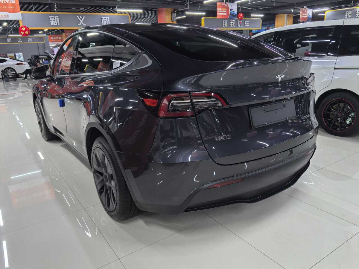 特斯拉 Model Y  2020款 改款 長續(xù)航后輪驅(qū)動版圖片