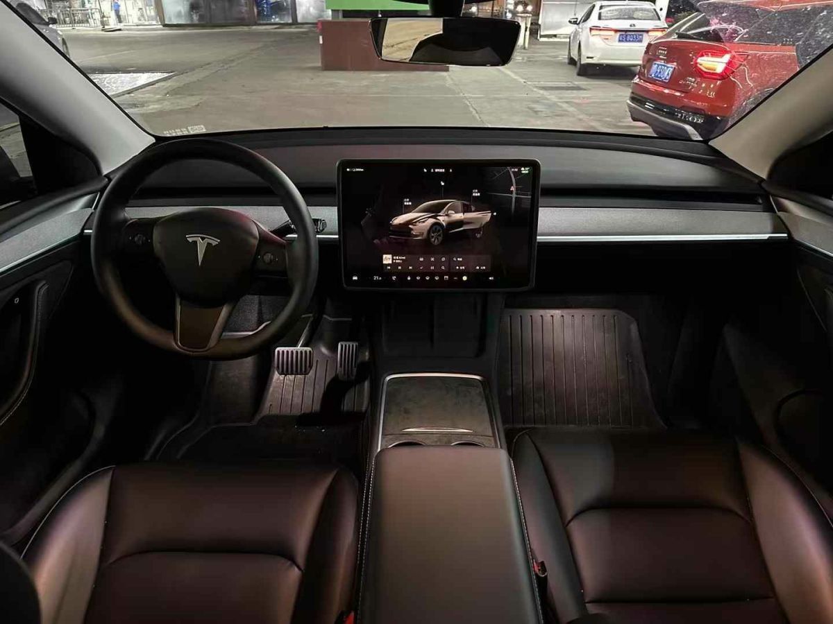 特斯拉 Model Y  2024款 Performance高性能版圖片