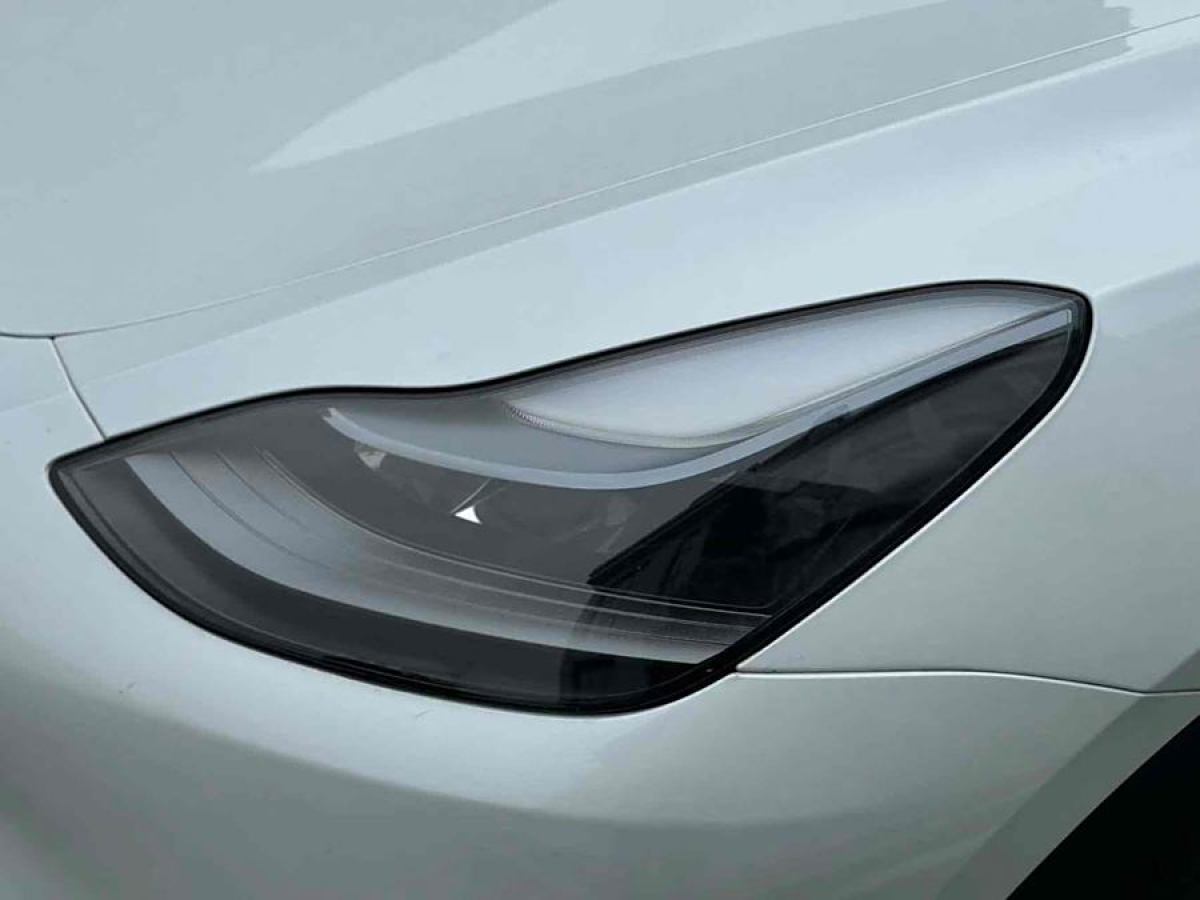 特斯拉 Model Y  2021款 改款 長續(xù)航全輪驅(qū)動版圖片