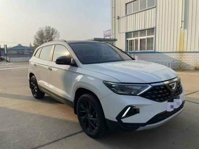 2022年1月 上汽大通 上汽大通MAXUS MIFA 9 云上草原图片