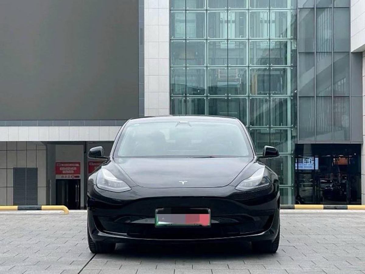 特斯拉 Model 3  2021款 標(biāo)準(zhǔn)續(xù)航后驅(qū)升級(jí)版 3D6圖片