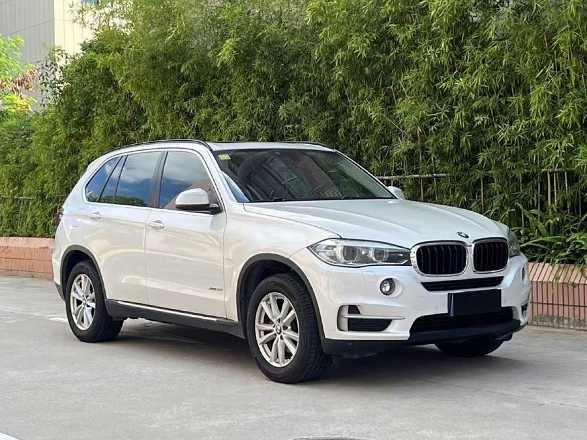 寶馬 寶馬X5  2014款 xDrive35i 領(lǐng)先型圖片