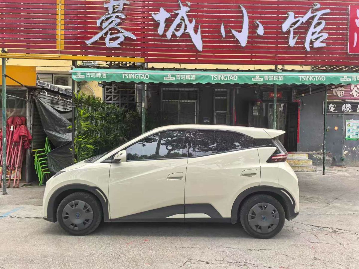 比亞迪 宋L  2024款 550km 卓越型圖片